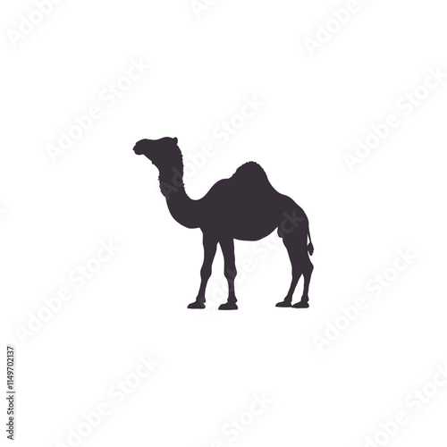 Silhouettes camels animal icon set vector illustration. Isolated on white background.