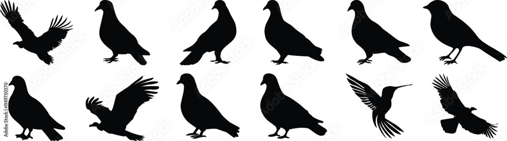 Fototapeta premium Bird silhouette set vector design big pack of animal illustration and icon