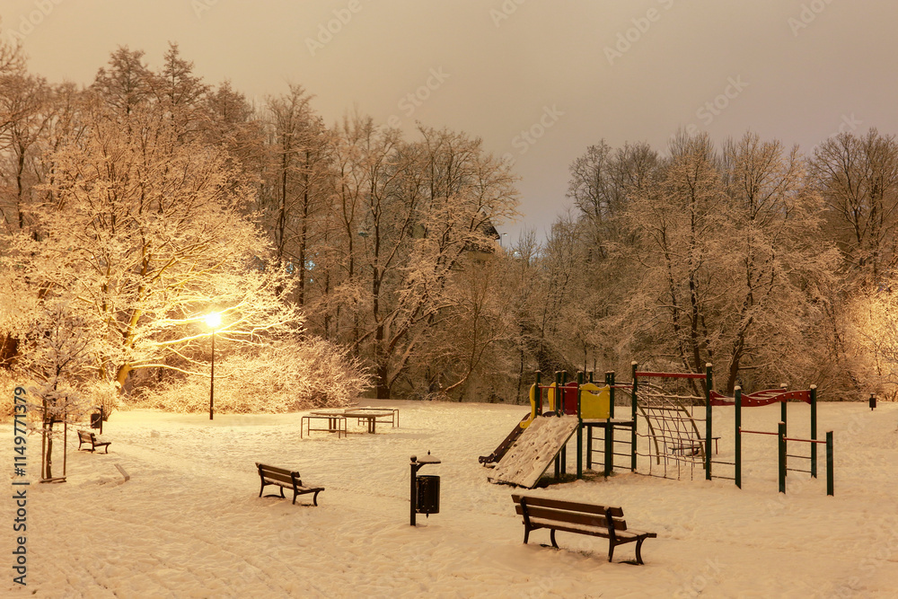 Lovely view of city park covered with snow in Christmas time.