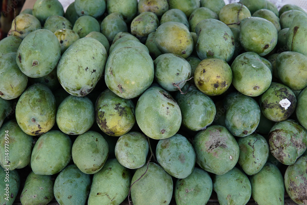 Whole fresh mangoes sold in fruit shops are suitable for design purposes, as illustrations for articles about fruits and others. Whole fresh mangoes sold in fruit shops are suitable for design purposes, as illustrations for articles about fruits and others.