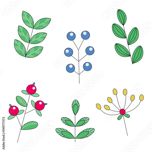 A set of isolated elements, wild berries and leaves in doodle style