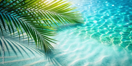 Tropical Beach Shadow Bokeh: Palm Leaf Silhouette on Turquoise Water & White Sand
