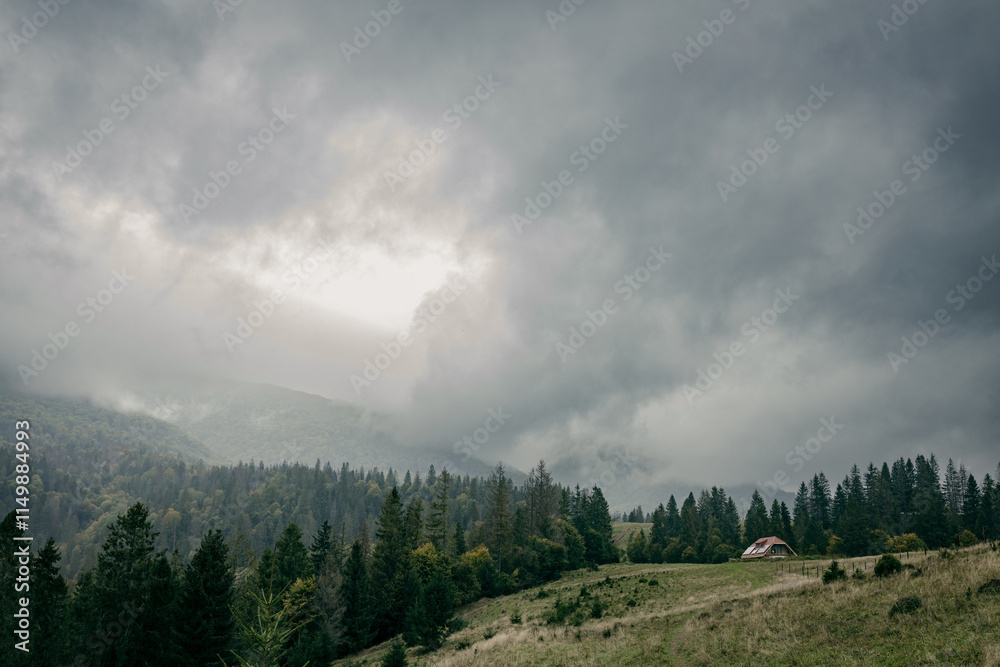 A green hills of Carpathian mountains under the stormy rainy sky with couds. Mountain hills foggy woodland. Carpathian green mountains. Ukraine. A green hills of Carpathian mountains under the stormy rainy sky with couds. Mountain hills foggy woodland. Carpathian green mountains. Ukraine.