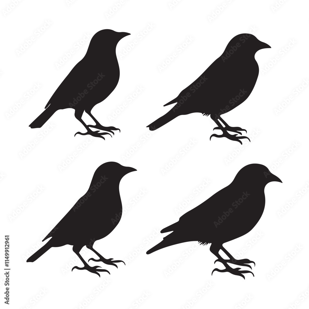 set of birds set of birds