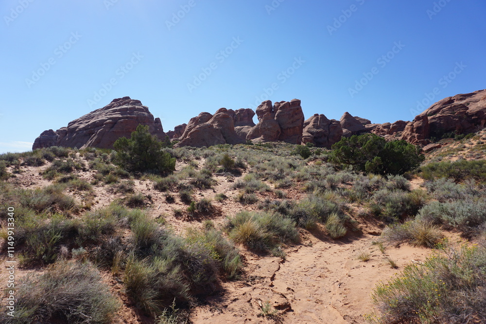 Fototapeta premium Arches National Park