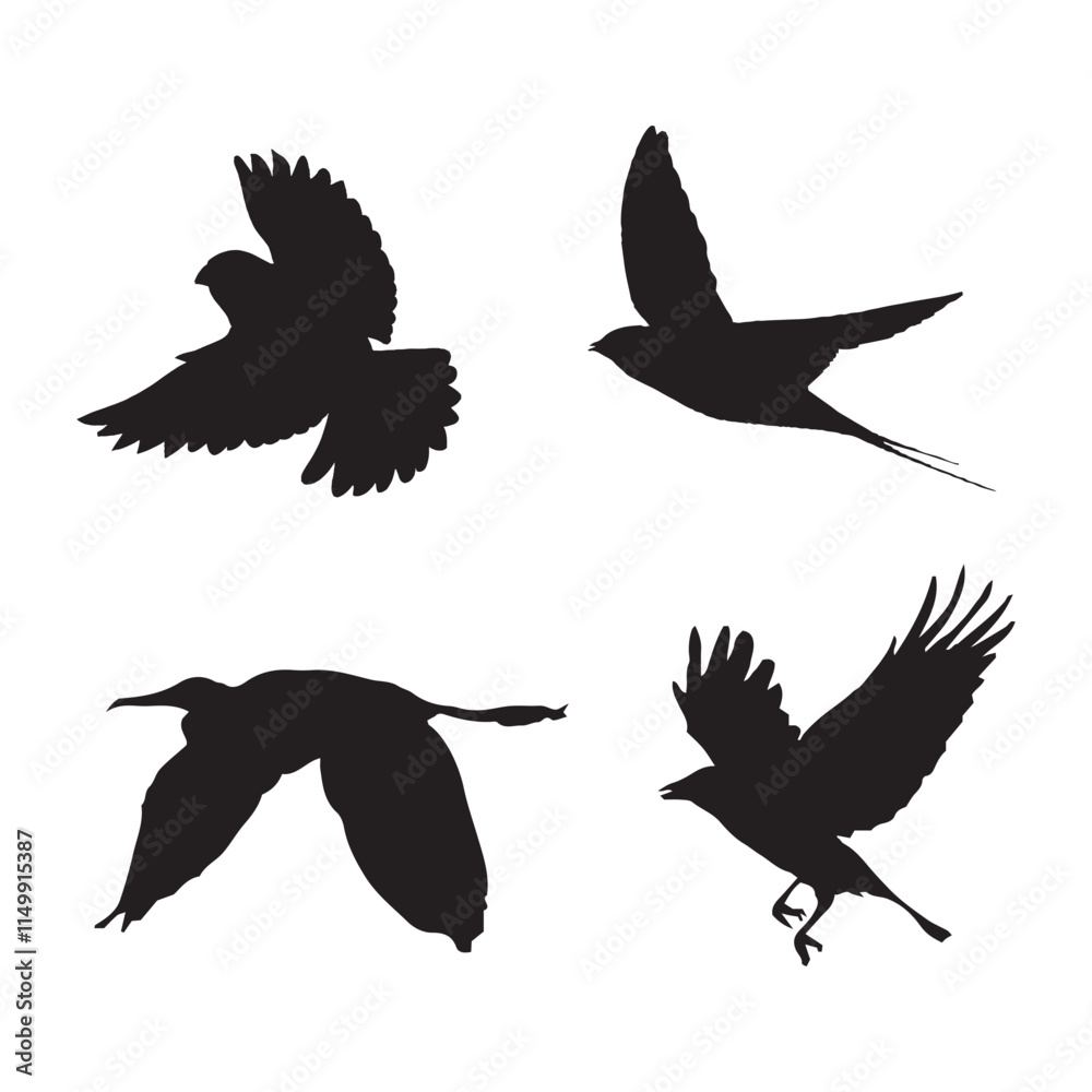 Obraz premium set of birds