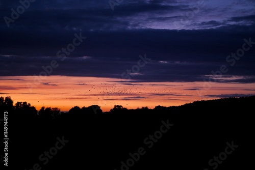 Lebhafter Sonnenuntergang mit silhouettierter Landschaft, die einen farbenfrohen Himmel in einer ruhigen natürlichen Umgebung in Deutschland zeigt photo