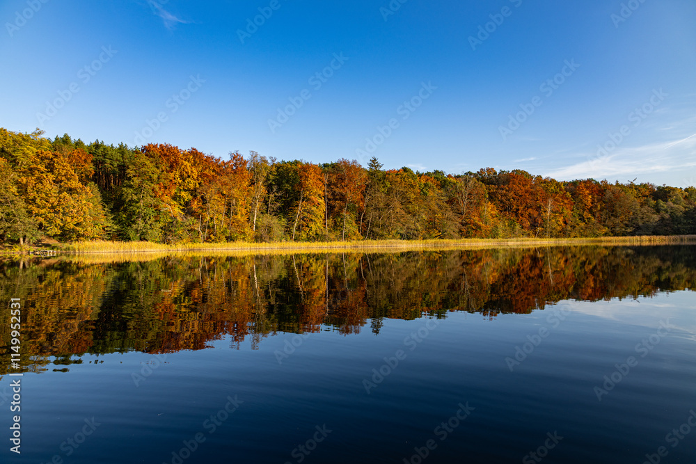 Fototapeta premium Fiery Autumn Lake Reflection, Brilliant autumn foliage mirrored in calm lake waters, displaying vivid gold, orange, and red hues under a clear, crisp sky