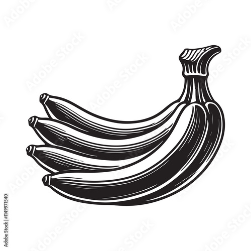 Banana Silhouette Vector Illustration, Solid White Background.