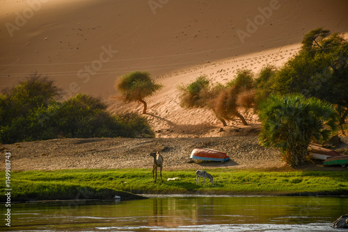 River Nile banks 