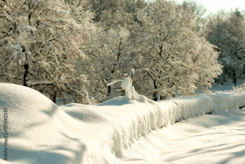 Westpark in Munich in winter full of snow.
The trees and benches are covered in snow. photo