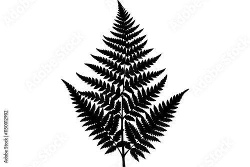 fern leaf black icon, fern leaf silhouette.