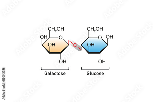 Lactose Sugar Molecule Science Design. Vector Illustration.