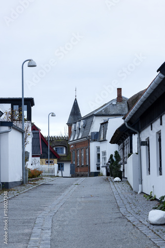 Narrow cobblestone street in a northern European town