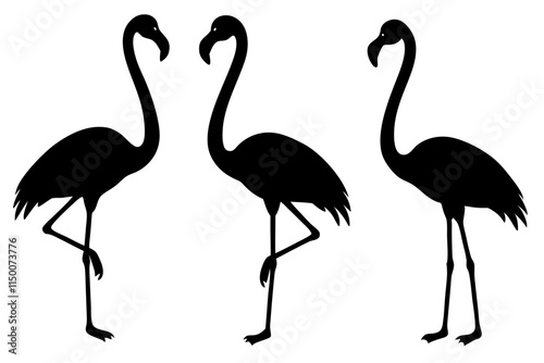 flamingo silhouette, vector silhouette of flamingo bird. photo