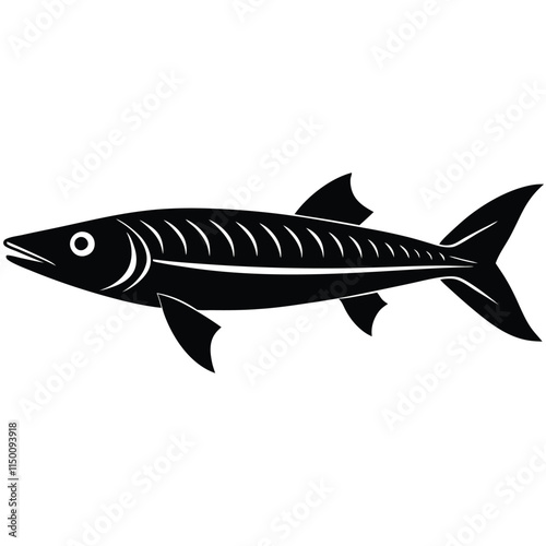 Barracuda silhouette on white background