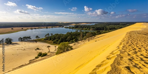 Majestic Dunes of Loonse and Drunense: Yellow Sand, Lake, and Dutch National Park Landscape photo