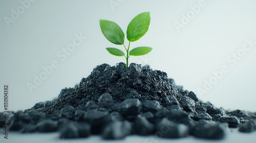 Innovative carbonrich biochar development sustainable agriculture soil health improvement photo