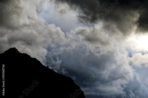 Bild auf Leinwand 1 arbre sur la crête, avant l'orage (Pyrénées)