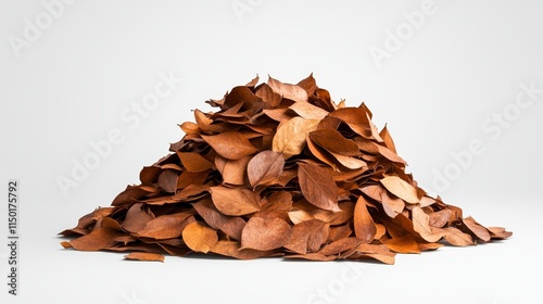 Autumn Leaf Pile Stock Photo - Pile of brown leaves, autumn, nature, fall, season change. Symbolizing transition, end of cycle, natural decay, abundance, and letting go.