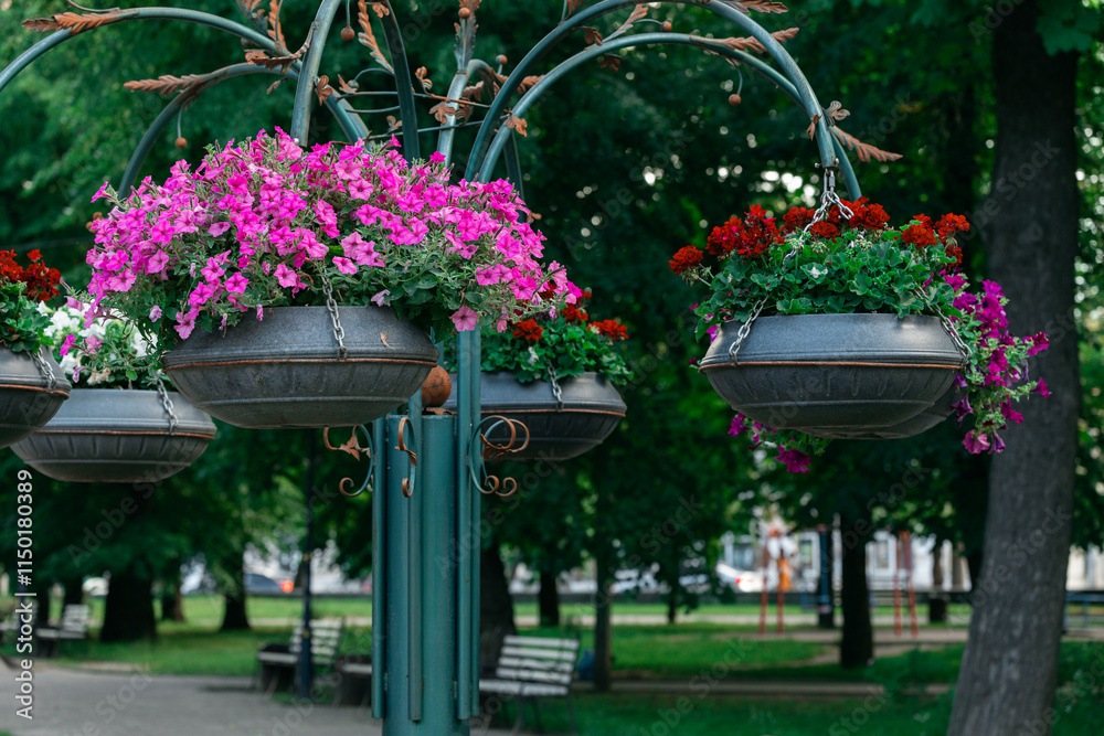 landscaping park spring season hanging flower pot on a lantern pillar decorative green city square environment