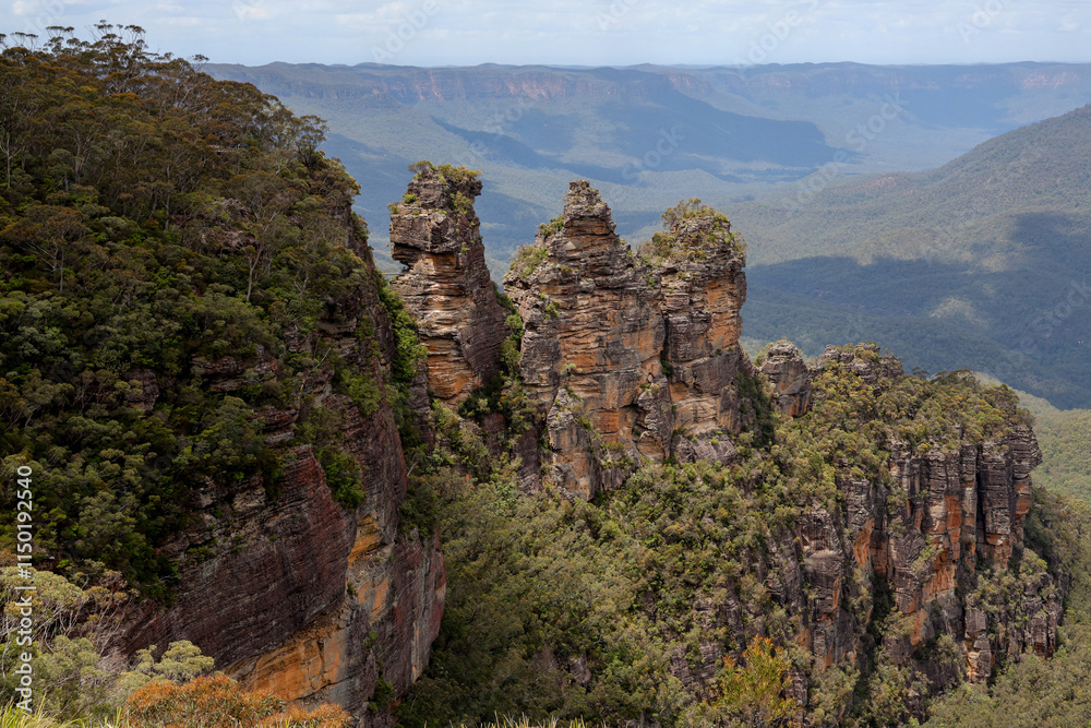Fototapeta premium View of landscape in national park at blue mountain at australia