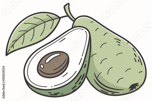 Avocado, Whole avocado, halves of avocado and leaf for decoration vector silhouette on a white background