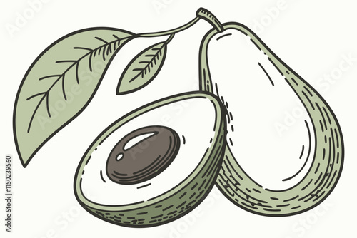 Avocado, Whole avocado, halves of avocado and leaf for decoration vector silhouette on a white background