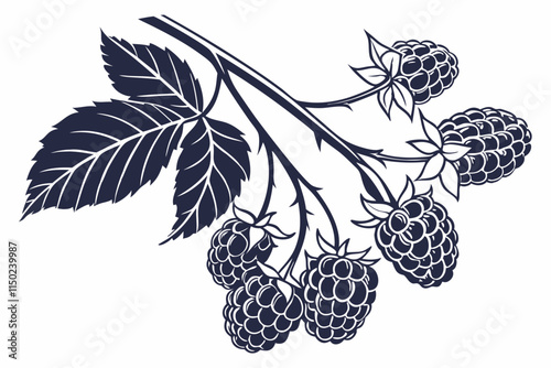 Blackberry Textured silhouette of a bunch of connected drupelets vector silhouette on a white background