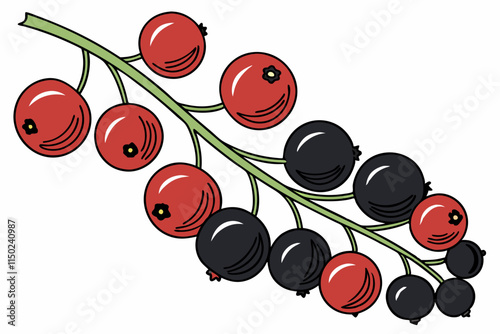 Currant - Red and black versions, typically in a trailing cluster vector silhouette on a white background