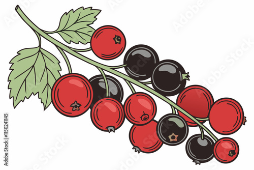 Currant - Red and black versions, typically in a trailing cluster vector silhouette on a white background