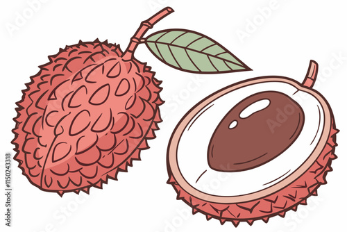 Lychee - Rounded with outer textured husk and peeled inner version vector silhouette on a white background