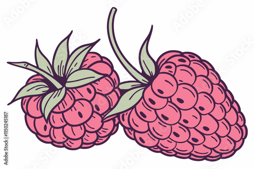 Raspberry - Similar to blackberry but with a more rounded shape vector silhouette on a white background