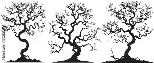 silhouette of a tree Tree without leaves silhouettes bundle Set of scary tree dead tree silhouettes Leafless tree set vector