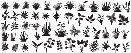 Big set of silhouette tropical black leaves , grass, fig, palm. Flowers and leaves of the jungle. Vector illustration
