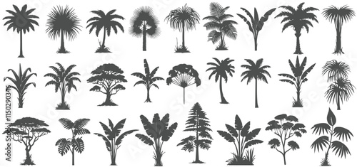 silhouette palm trees ,Realistic Trees Collection Isolated on White Background vector