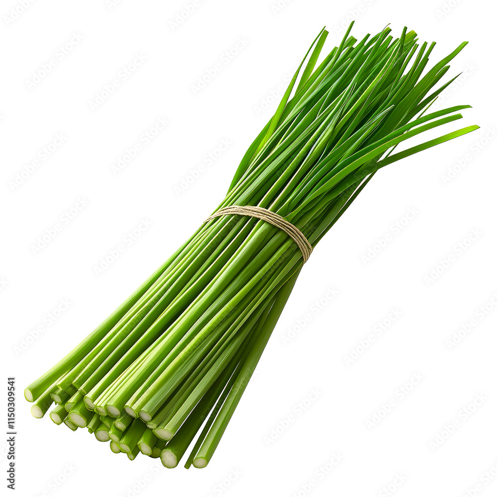 Fototapeta premium Fresh chives bunch isolated on white.