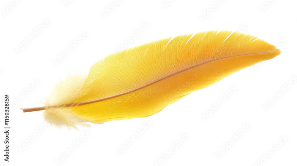Yellow feather, transparent background Yellow feather, transparent background