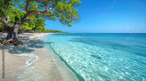 Fototapeta Naklejka Na Ścianę i Meble -  Pristine beach with crystal-clear turquoise waters
