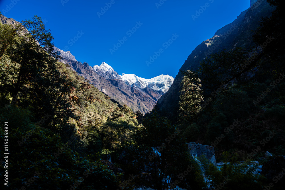 First Glimpse of Himalayan mountains seen during day 3 trek of Lama Hotel to Langtang Village, Nepal First Glimpse of Himalayan mountains seen during day 3 trek of Lama Hotel to Langtang Village, Nepal