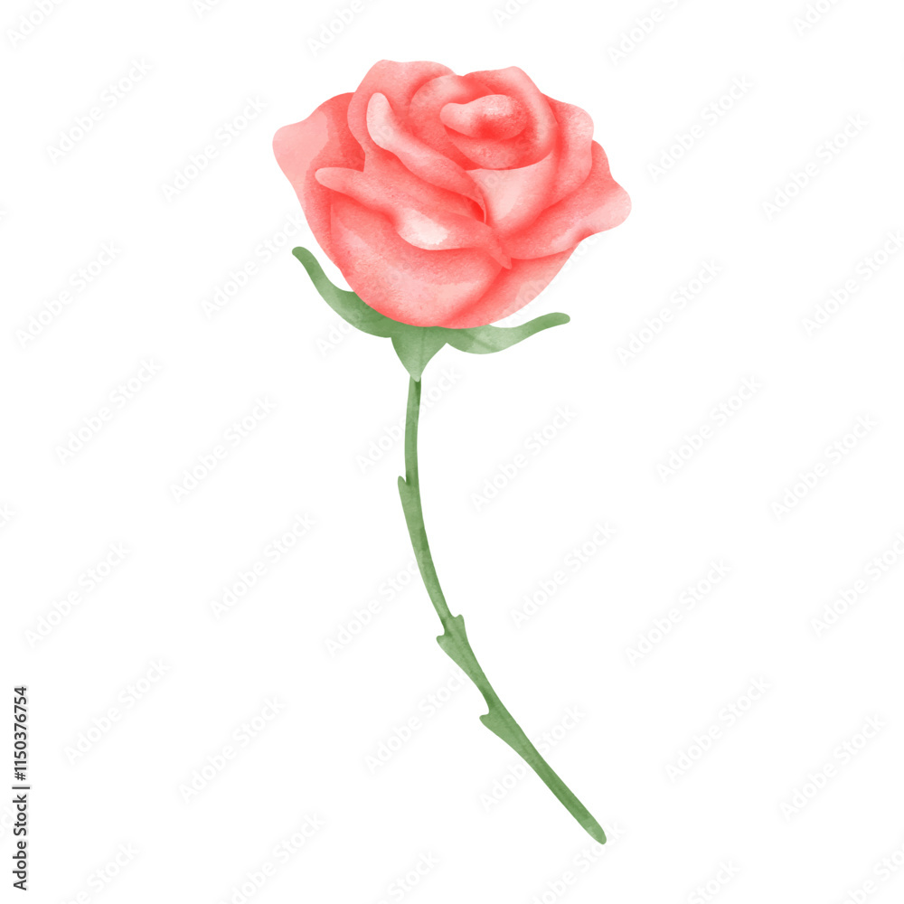 Single Stem Watercolor Rose Illustration Single Stem Watercolor Rose Illustration