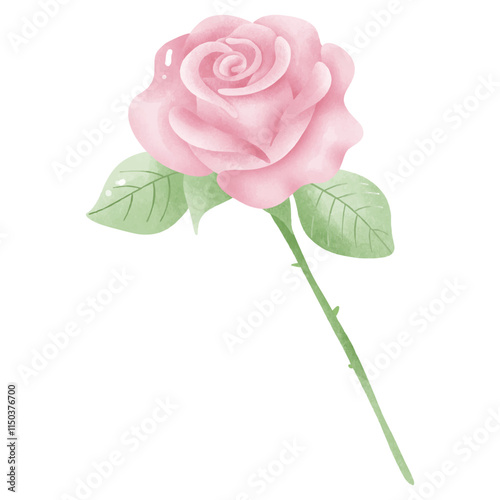 Watercolor Pink Rose with Stem and Leaves