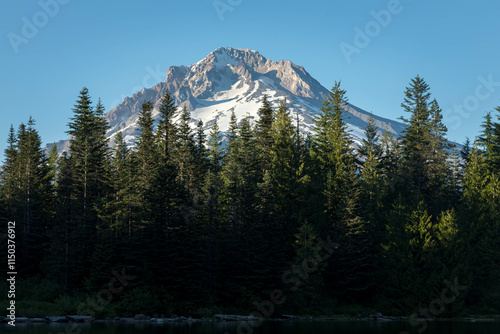 Views from Mt Hood National Park photo