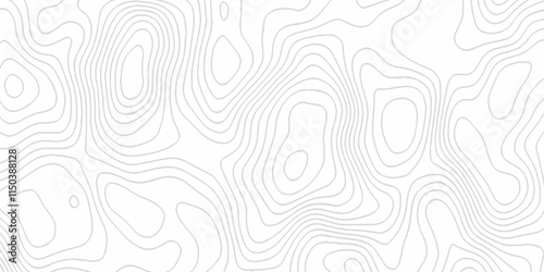 White topography topology vector white background fresh contour map texture. white seamless pattern Abstract background with a wave Topography and geography map grid abstract backdrop.
