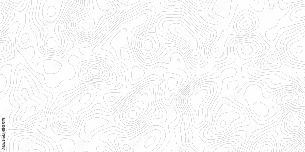 White topography topology vector white background fresh contour map texture. white seamless pattern Abstract background with a wave Topography and geography map grid abstract backdrop.