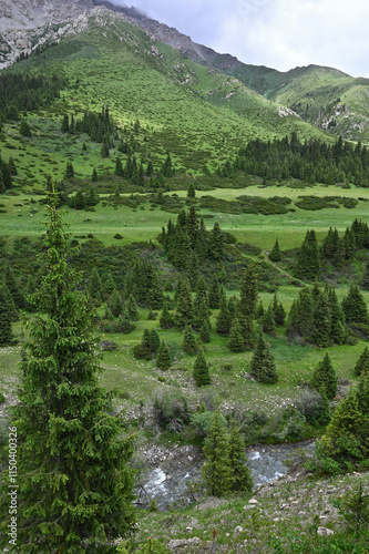 Mountains views of meadows and rivers on a summer cloudy day , Kazakhstan, Kegen, Aktas mount, Tekes river.