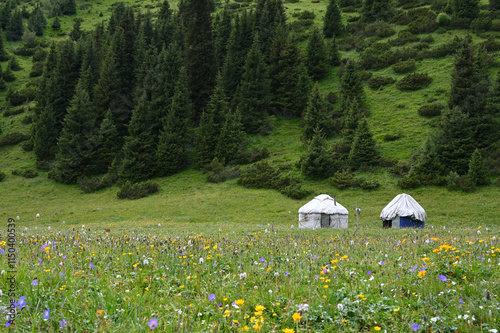 Yurta - traditional temporary house. Mountains views of meadows and rivers on a summer cloudy day , Kazakhstan, Kegen, Aktas mount, Tekes river.