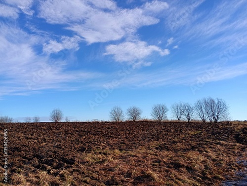 Beautiful autumn landscape in a field on a sunny day with a beautiful sky. A row of bare trees on the horizon against the sky. photo