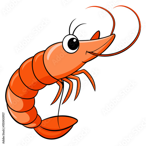 shrimp isolated