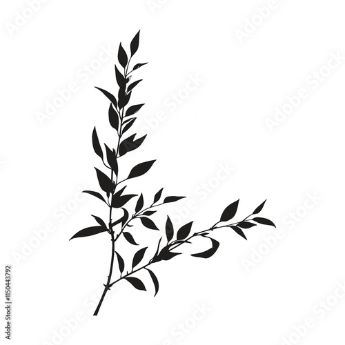 Elegant Silhouette Of A Black And White leaves Vector Illustration